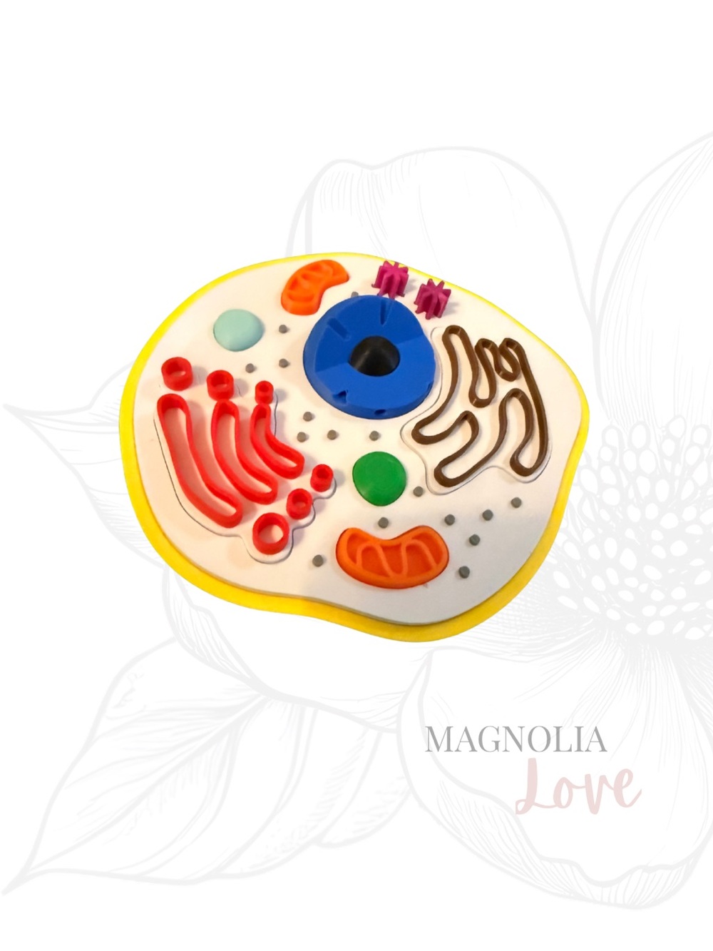 🔬 Animal Cell Puzzle Model Educational Self Contained Colorful Detailed